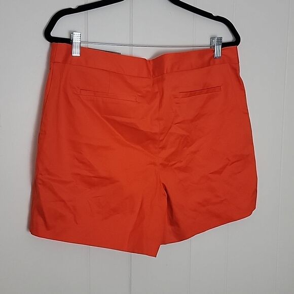 NWT shorts  - Picture 2 of 4